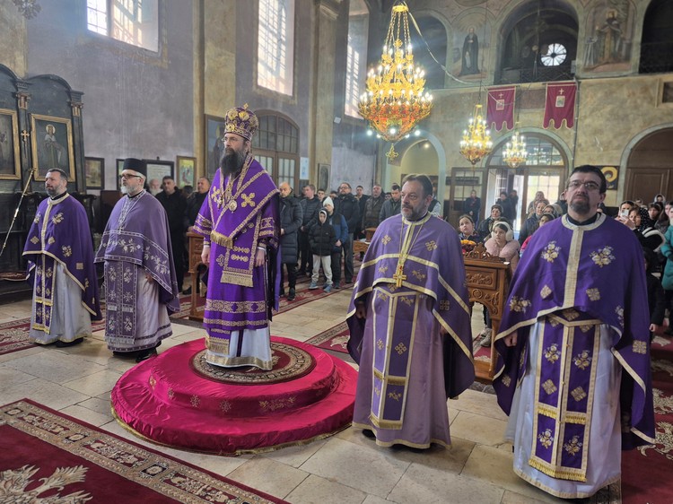Епархија тимочка