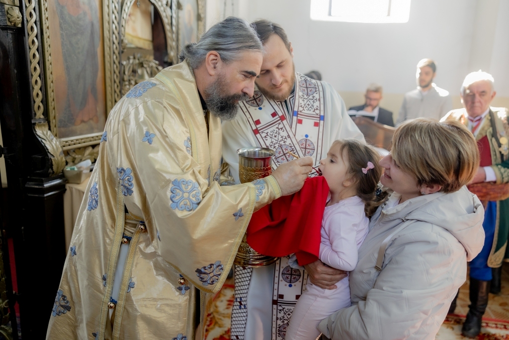 Епархија шумадијска